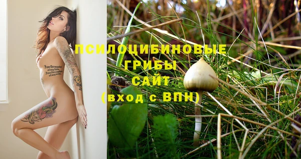 PSILOCYBIN Балабаново