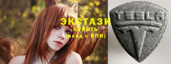 твердый Богданович