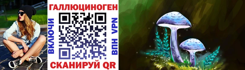 Купить где  Верхний Тагил  Галлюциногенные грибы ЛСД 